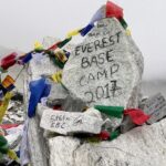 mari-partyka-PLzgu9O7xag-unsplash (1) (1)