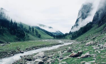 Shimla Hills Retreat 4N/5D