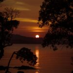 pexels-nabilnaidu-10794430