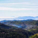 pexels-thirugraphy-11-497075690-16239705