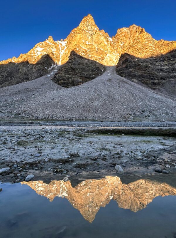 pexels-vikashkr50-17957568