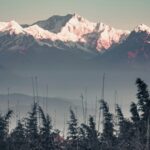 pexels-vinayak-khithani-2408962