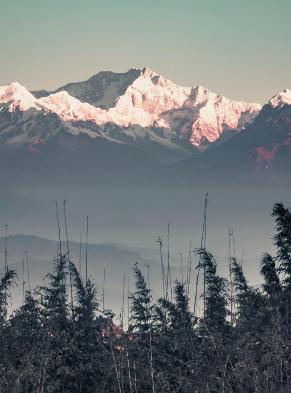 pexels-vinayak-khithani-2408962